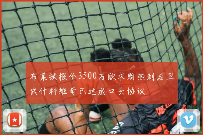 布莱顿报价3500万欧求购热刺后卫武什科维奇已达成口头协议