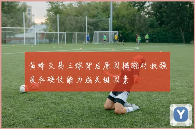 黄蜂交易三球背后原因揭晓对抗强度和硬仗能力成关键因素